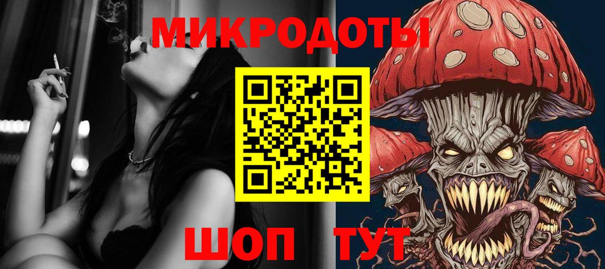 Псилоцибиновые грибы Cubensis Сегежа